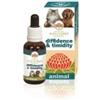 Bush Biotherapies Australian Bush Flowers Diffidence & Timidy Pets 30ml