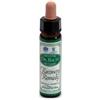Ainsworths Recov Remedy 10Ml 10 ml Gocce orali