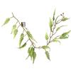 Leaf Progettare piante appese artificiali