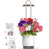 Click and Grow Vaso Smart Autoirrigante con Luce per la Crescita, Kit Mini Serra da Interno con Capsule di Petunia Click&Grow, Hydrovase Smart Garden