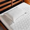 TEMPUR-PEDIC TEMPUR-Protect - Federa per cuscino a forma di nuvola, misura