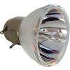 BENQ 5J.J4G05.001 LAMPADA OSRAM SENZA SUPPORTO (SOLO BULBO)