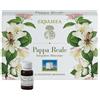 ERBAMEA Srl Pappa Reale 14fl Monod 10ml