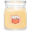 Yankee Candle Slopeside Spritz 368 g Candela Profumata Giara Signature Media 2 Stoppini