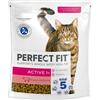 PERFECT FIT (Active 1+) 750 g Ricco di carne di manzo - cibo secco per gatti