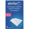 ALLIANCE HEALTHCARE IT.DIS.SpA ALVITA GARZA ADES TNT 10X15 5P