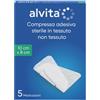 ALLIANCE HEALTHCARE IT.DIS.SpA ALVITA GARZA ADES TNT 10X8 5PZ