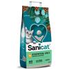 Sanicat Lettiera Essential Oils Cedro ed Eucalipto 10KG