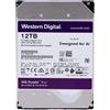 Western Digital Hard Disk 12 TB 6 GB/s, buffer 256 MB - Western Digital