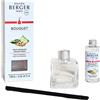 MAISON BERGER PARIS Bouquet Parfumé Bouquet Cube - Fruit Croquants - Diffusore di Profumo