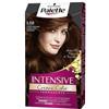 PALETTE INTENSIVE 5,68 CAST DORATO