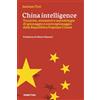 RUBBETTINO China intelligence. Tecniche, strumenti e metodologie di spionaggio e controspionaggio della Repubblica Popolare Cinese