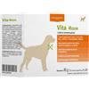 DYNAMOPET Srl Vita 20bust 4g