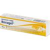 Bausch & Lomb Recugel 10 g Gel Oculare