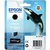 Epson Cartuccia Epson T7601 (C13T76014010) - Nero Photo