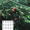 Saturnia Rete antipioggia (4 x 5 metri) Rete per proteggere alberi, colture, frutta.