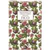 Cofanetto corpo Fico Lowup
