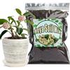 GOTVUGE Miscela di terriccio per Hoya, Miscela personalizzata miscelata a mano adatta per piante di felce in vaso da interno/esterno (1L)