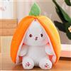 shineFinder Coniglio ripieno con carote e fragole, coniglio di peluche (25CM, Karotte)