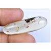 11.30 CT Naturale Tanzania Ambra Fossil Insect Inclusione Cabo Certificato Gemma