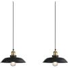 Newrays 2 Lampada a Sospensione Nera Stile Farmhouse, Lampada da Soffitto Industriale per Ristorante, Isola, Corridoio, Sala da Pranzo