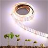 FOSUO Luce a LED per Piante 24V 2M 840 LED Spettro Completo Alto PPFD 60W Flessibile Tagliabile e Autoadesiva Striscia LED per piante per la Crescita di Piantine, Vegetazione