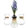 Hewory Vaso Vetro Trasparente Vaso per Bulb: Hewory 3 Terrario Piante Vasi Avocado per Centrotavola Moderno Design - Propagation Station Hyacinth Vase Vasi Vetro per Decorazioni Casa Soggiorno