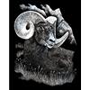 Pracht Creatives Hobby Royal & Langnickel Grattastinchi, Argento, Immagini da Grattare per Bambini e Adulti, con Penna e Sagoma per Grattare