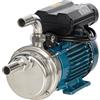 Tellarini Pompe Tellarini ALM 25 MS - Pompa elettrica da travaso in acciaio inox - Raccordi in INOX dritto+curvo - Monofase - 230V - Scegli i tuoi raccordi!