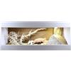 Lucky Reptile IsoTarrium Basic, dimensioni terrari (L x P x A): 120 x 50 x 50 cm