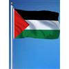 Les trésors d'érable Bandiera della Palestina 90x150 cm - Poliestere Resistente con Occhielli - Bandiera Palestinese per Interni ed Esterni - Decorazione Culturale