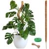 Aurobest 120cm Bastone Muschio con Velcro, Spago, Palo Supporti Piante Rampicanti per Interno e Esterno, Sostegno Piante Giardino Pieghevoli Fibra Cocco, Tutore Monstera Rampicanti per Che Crescono Verso Alto
