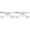 Lines Cotone Proteggislip Distesi, Confezione da 48 Pezzi