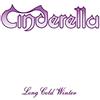 Metallica Long Cold Winter
