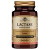 SOLGAR IT. MULTINUTRIENT SpA LACTASE MASTICABILE 30TAV