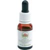 Green Remedies Five Corners Bush Flower 15 Ml