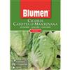 Blumen cicoria capotta o mantovana