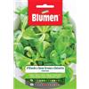 Blumen valeriana d'olanda a seme grosso o dolcetta