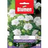 Blumen garofano a piumino nano bianco