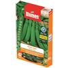 Blumen pisello nano grano liscio