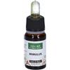 Solimè MIMULUS 10 ML