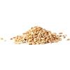 Bongiovanni Srl Grano Senatore Cappelli 5Kg BIO