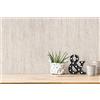 A.S. Création Carta da parati in tessuto non tessuto scandinava con erba di pampa svedese grigio beige 386142 10,05 x 0,53 m Made in Germany