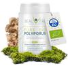 BEAUVITAL Pure Bio Polyporus umbellatus 100 g fungo in polvere da agricoltura biologica, vegano, senza additivi artificiali