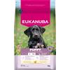 Eukanuba Premium Nutrition Puppy Large & Giant Breed Pollo - 3 kg