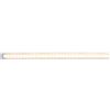 Paulmann 706.76 Striscia Luminosa Universal Strip Light Interno Led 100 cm