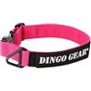 DINGO GEAR WWW.DINGOGEAR.COM 1977 DINGO GEAR - Collare per cani Cobra con fibbia di sicurezza professionale ed etichetta attaccata con chiusura in velcro, collare affidabile per addestramento alla difesa, attività speciali,