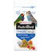 Versele-Laga NutriBird Treats Frutti Patee Exotic Fusion | 250 g | Cibo complementare per piccoli uccelli domestici | Con vitamine, minerali e oligoelementi | Con lisina e metionina
