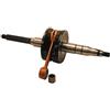 one by Camamoto cod. 77080800 albero motore completo di gabbia rulli spinotto 10 compatibile con yamaha bw's/mbk booster spirit/aprilia amico/minarelli verticale