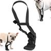 PPGGOPP Calze di Protezione e Recupero per Cani,Gatto, Stivali per Cani Paw Protector,Calzino protettivo in silicone,Scarpette per Cani,Calzini Antiscivolo per Cani per Anteriore Posteriore Recupero (M)